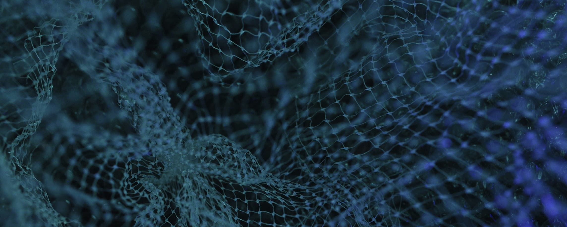 What Is DNS Monitoring and How to Do It Right?