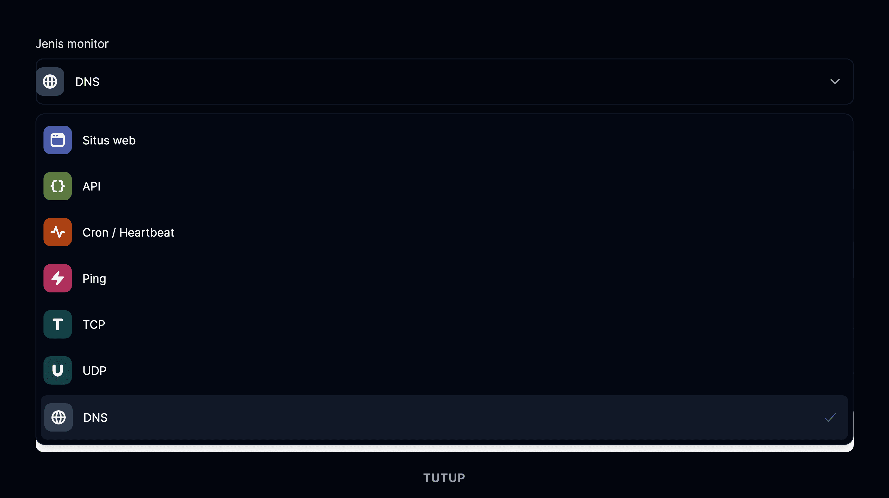 Jenis monitor DNS