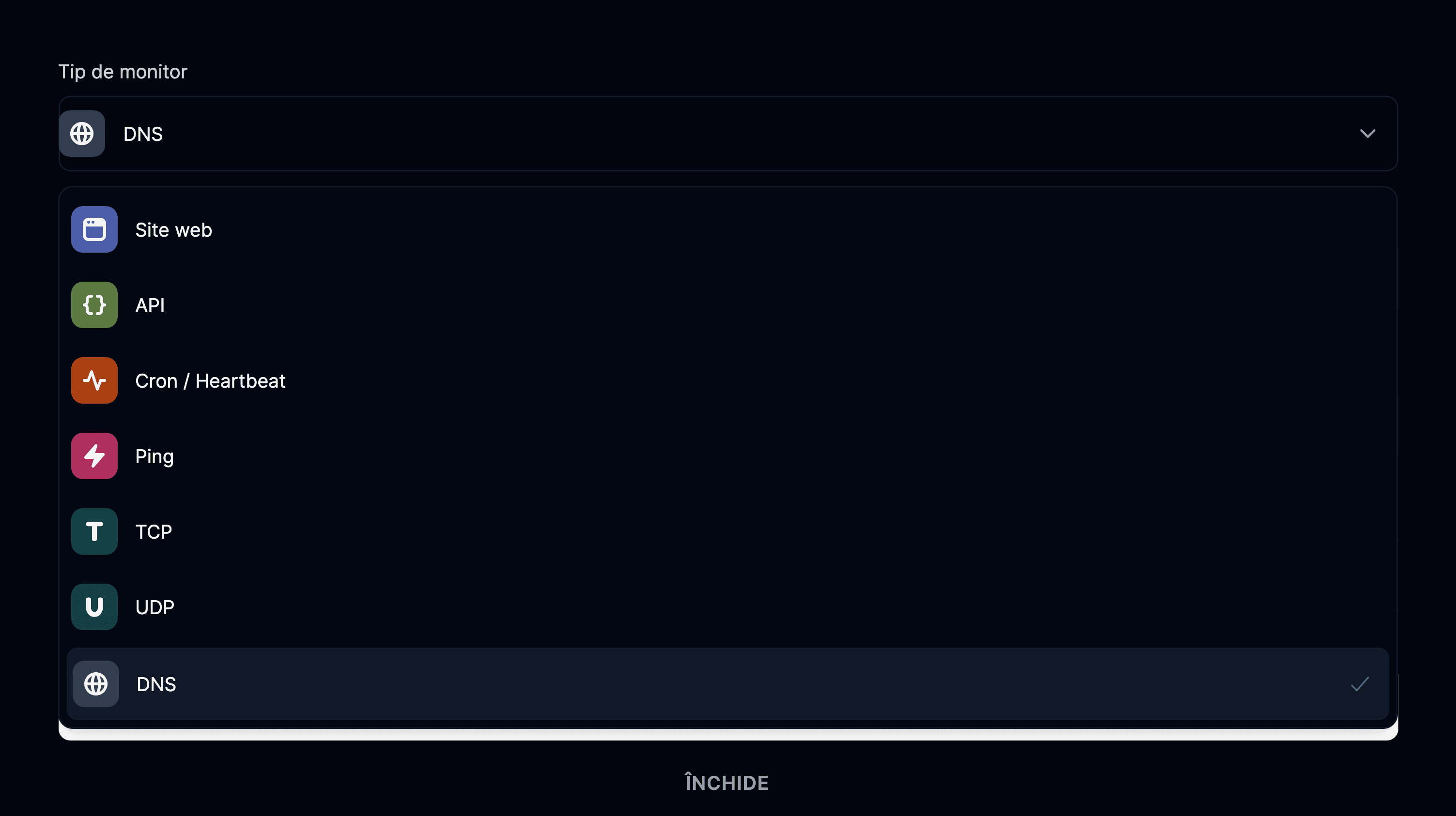 Tipul de monitor DNS