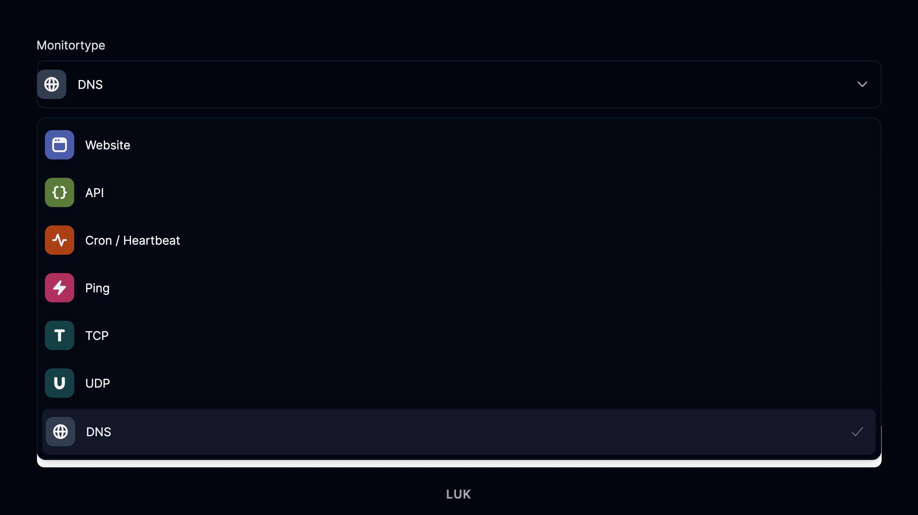 Monitortypen DNS