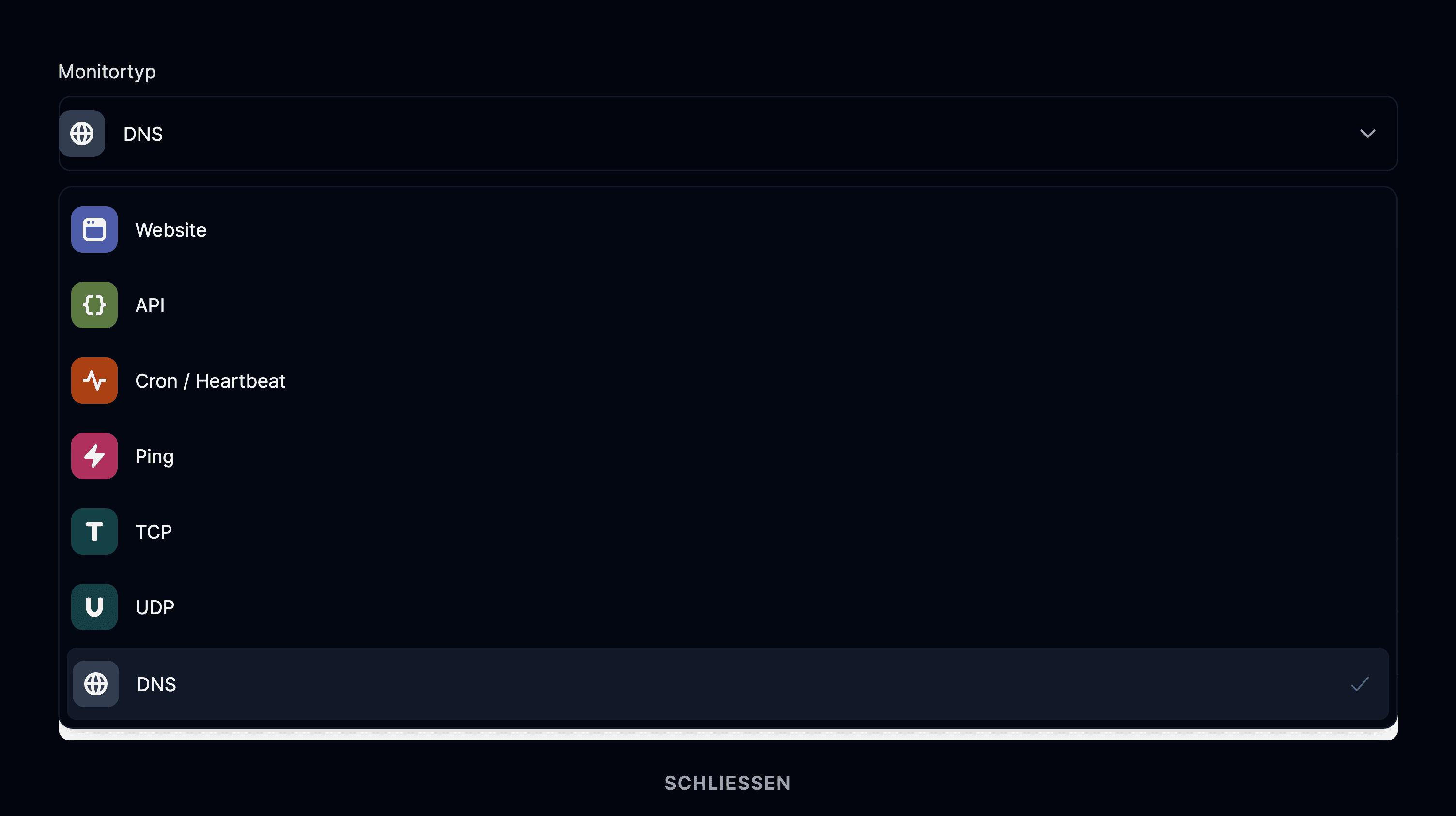 Monitortyp DNS