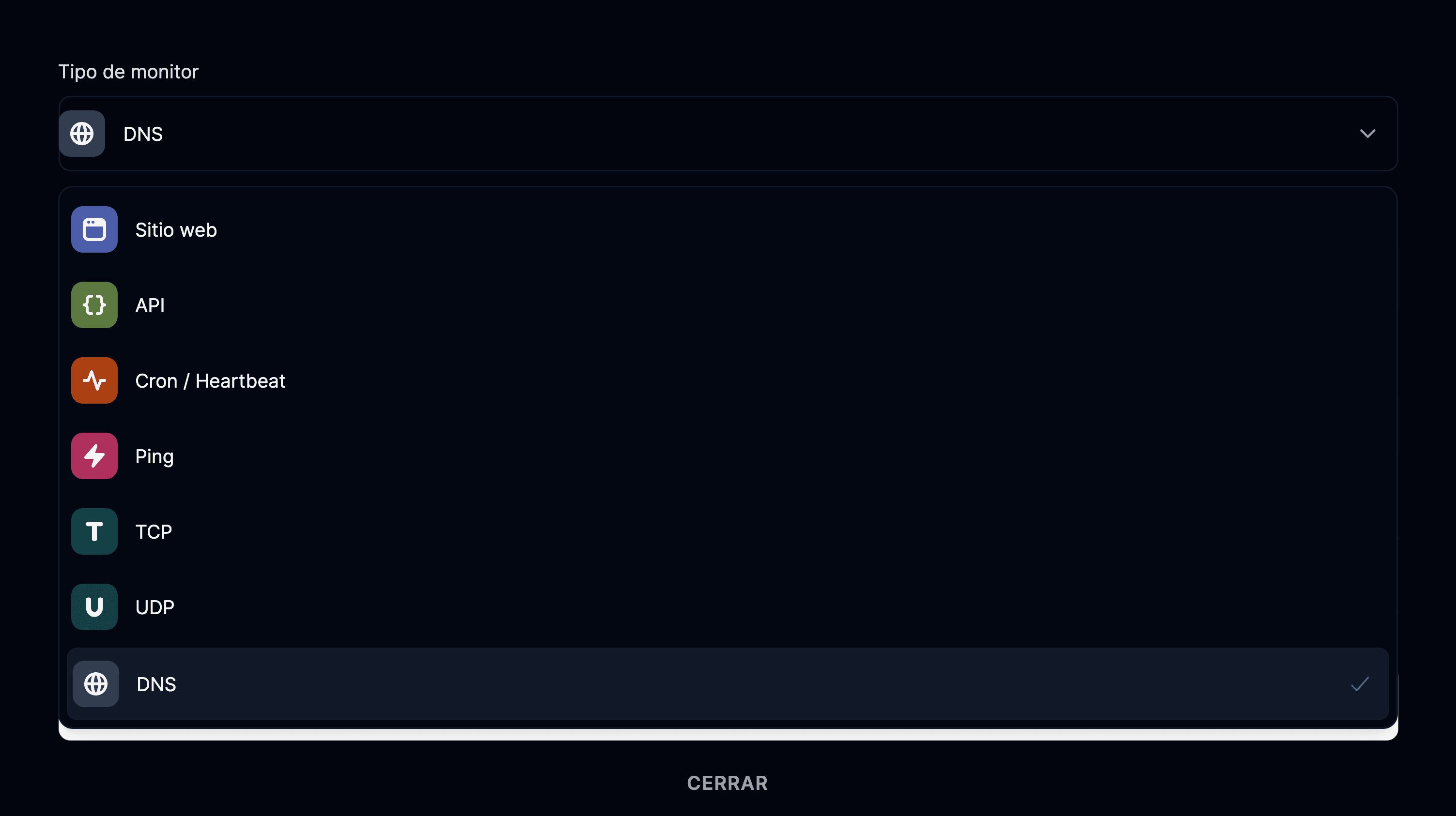 Monitor de tipo DNS seleccionado