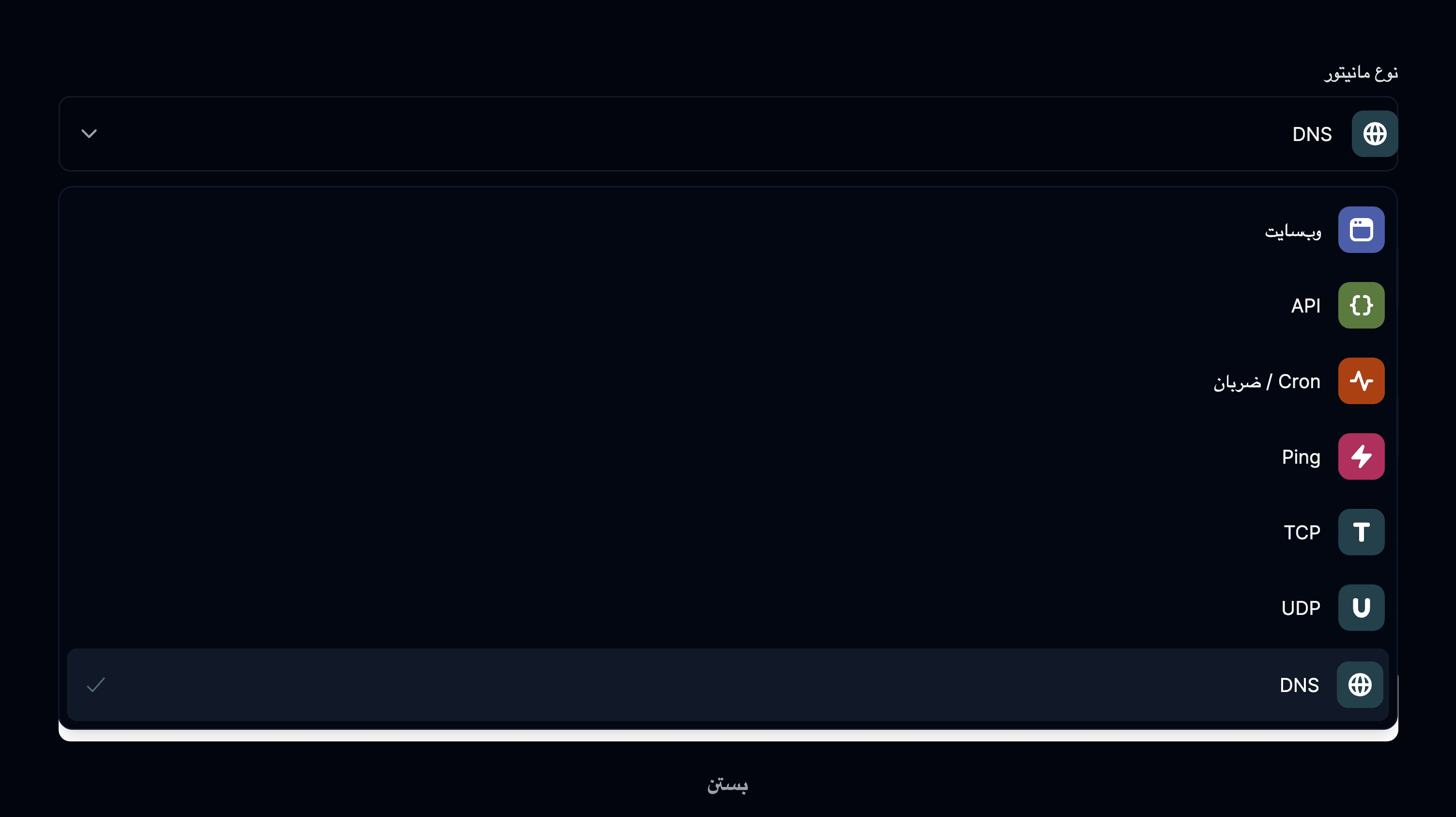مانیتور از نوع DNS انتخاب شده است