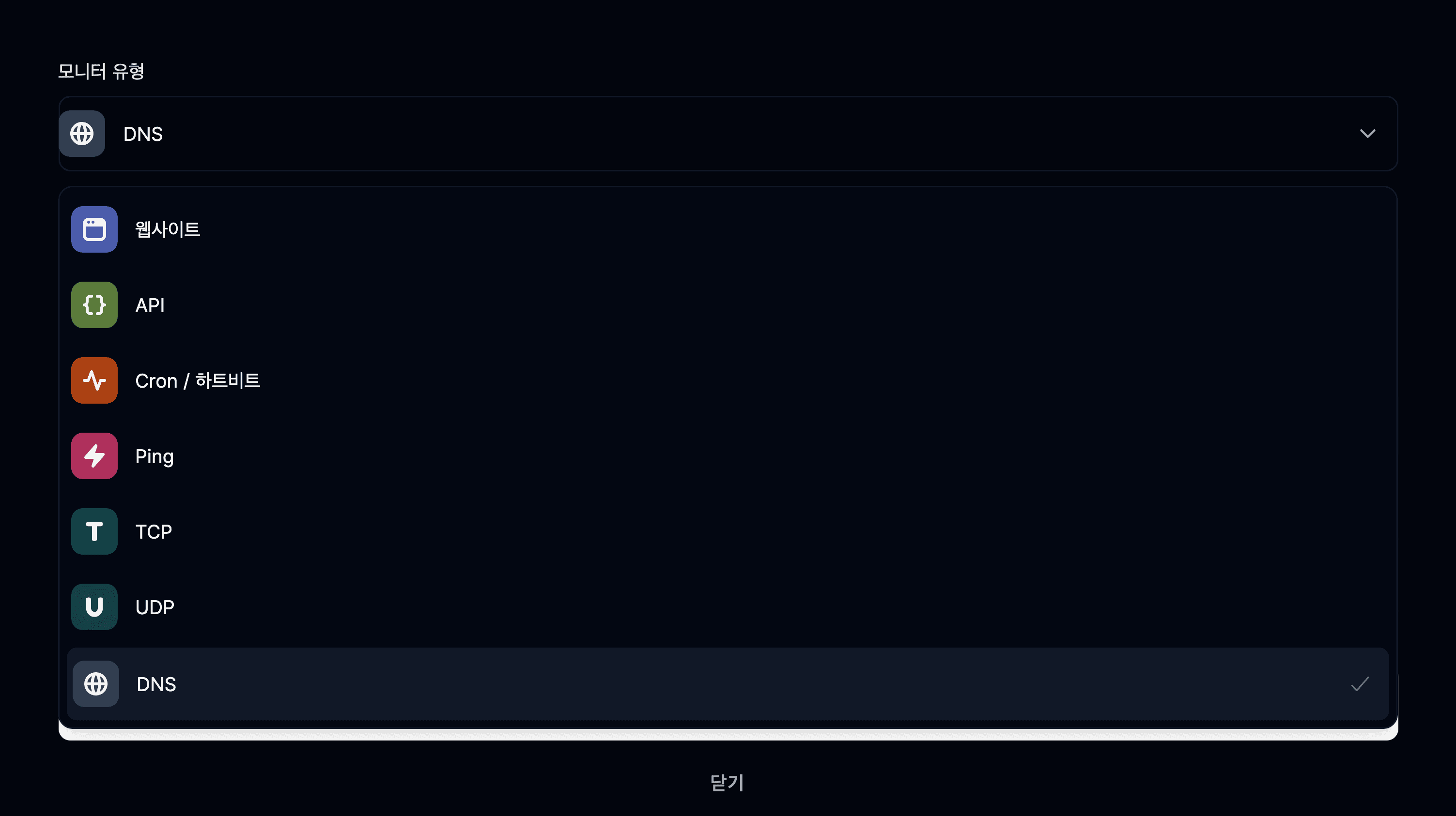 DNS 유형 모니터 선택