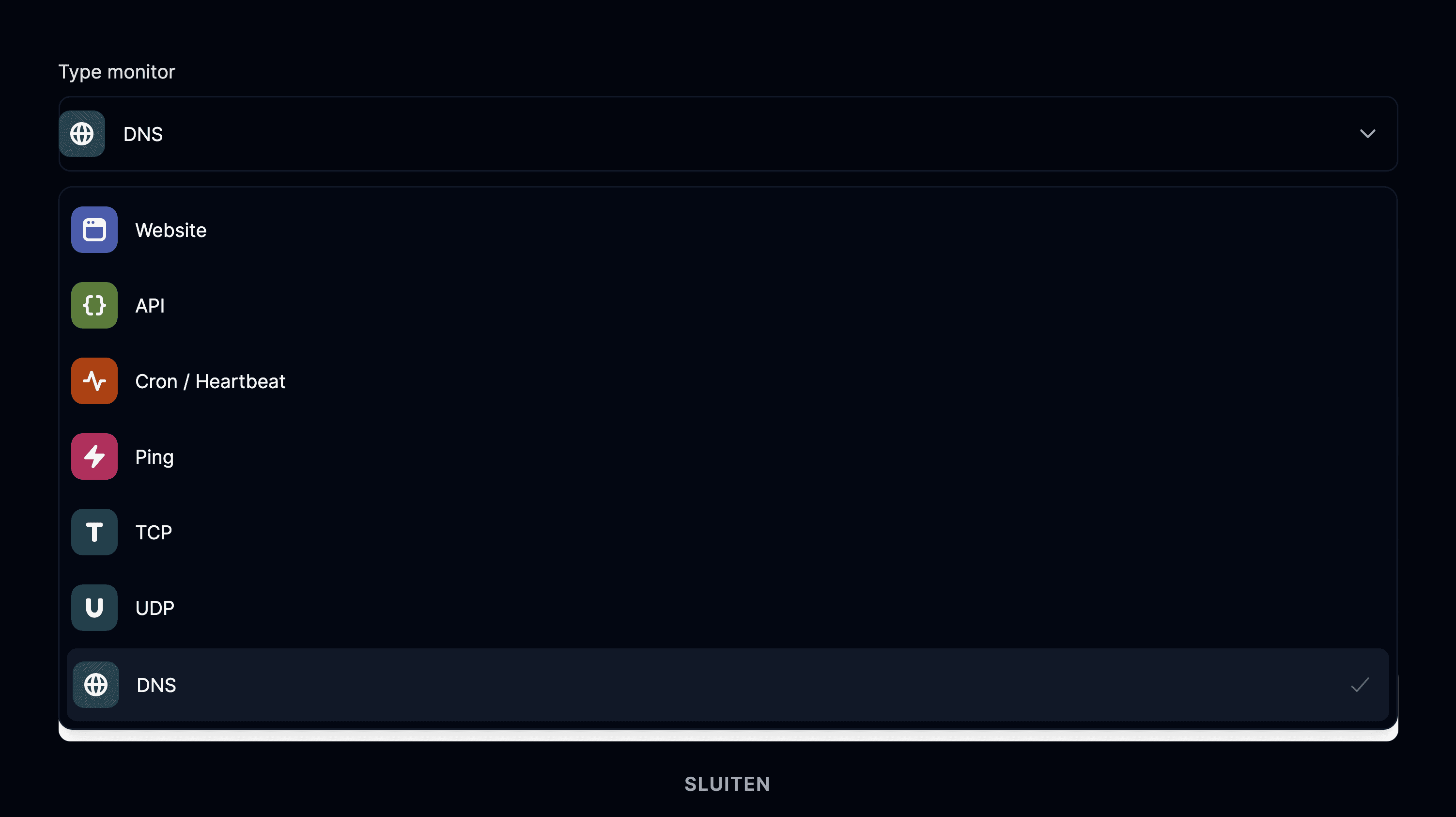 Monitor van het type DNS geselecteerd