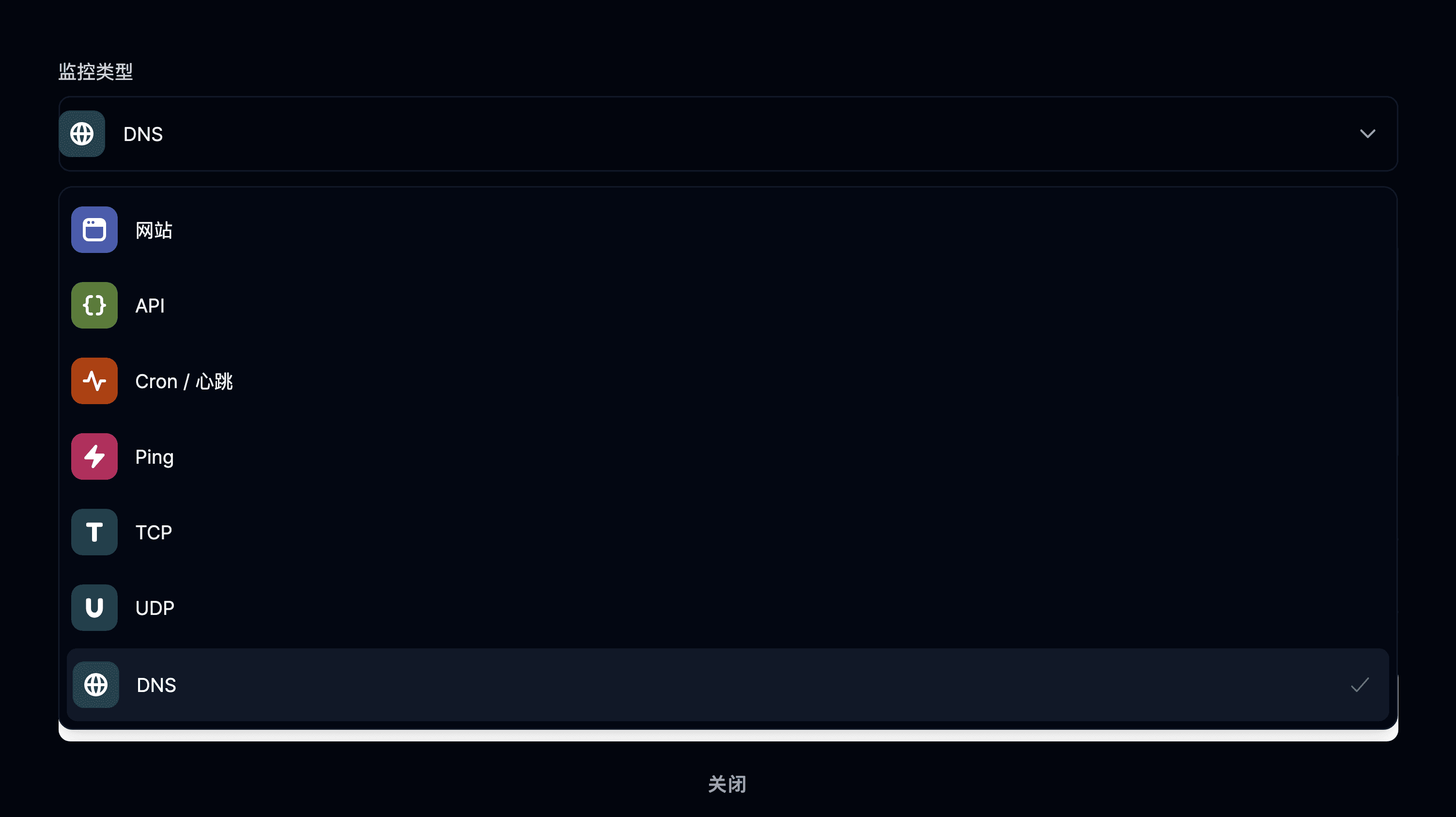 已选择 DNS 类型的监控