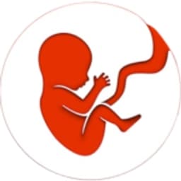 BitLife