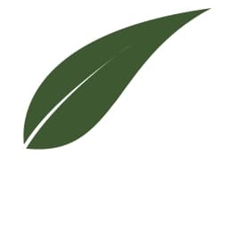 CourseLeaf