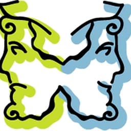 Janus Networks