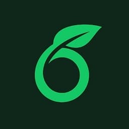 Overleaf