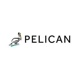 Pelican Wireless Systems