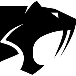 Saber Interactive