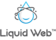 Liquid Web