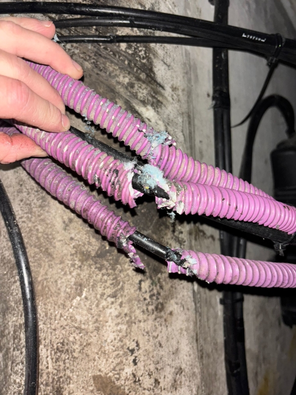 Câbles impactés .jpeg